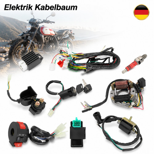 Cablaggio elettrico cdi - cdi, 4